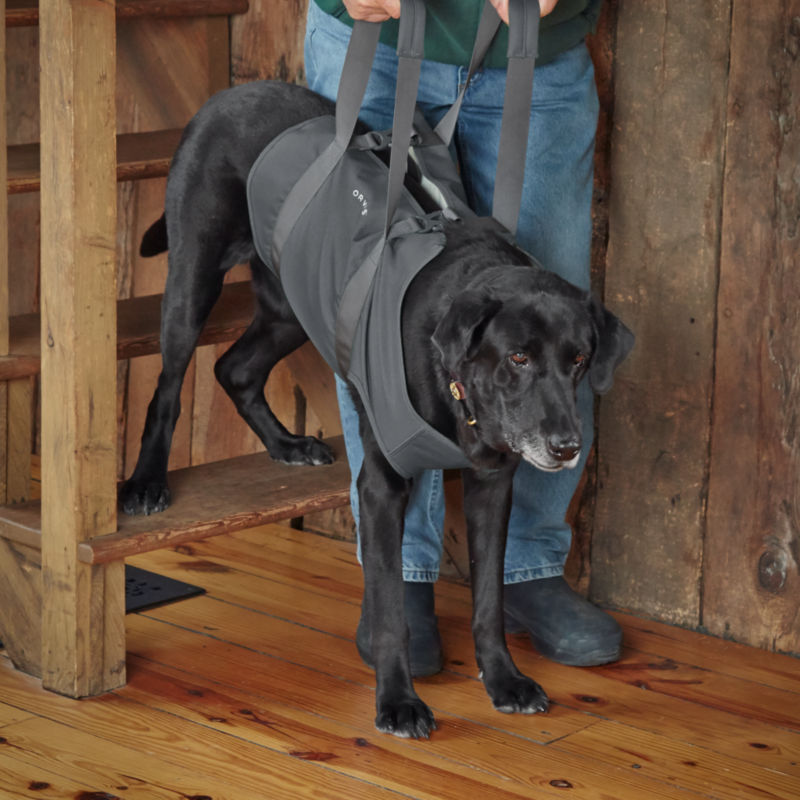 Dog Sling Lift