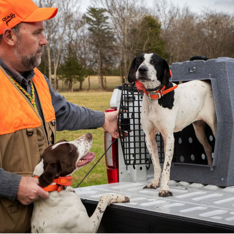 Ruff Land  Dog Kennel