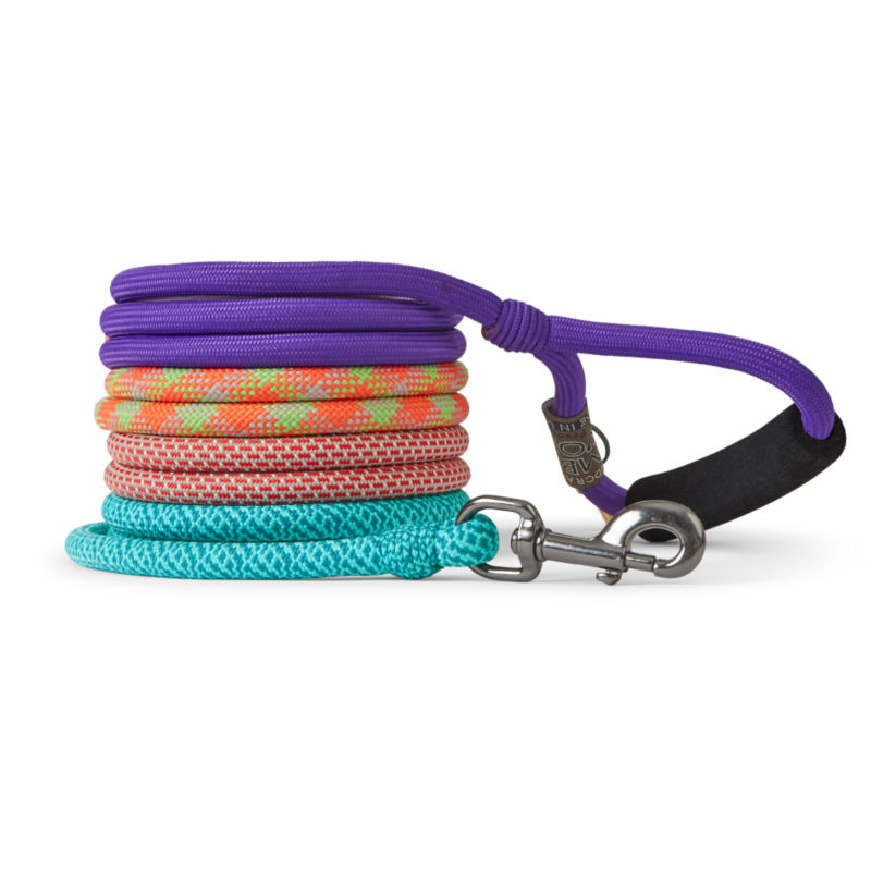 Braided Dog Collar and Climbing Rope Leash